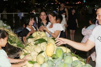 Đồng Tháp - Miền trái ngọt