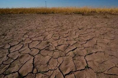 Liên hợp quốc kêu gọi sẵn sàng đối phó nắng nóng cực đoan do El Nino