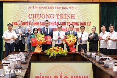 Bắc Ninh chấp thuận chủ trương đầu tư 2 dự án điện gió hơn 6.000 tỷ đồng