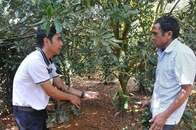 Hiệu quả từ chính sách đất đai đối với đồng bào dân tộc thiểu số ở xã biên giới