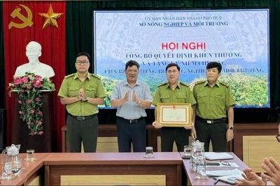 Tp. Huế: Tăng cường bảo vệ rừng, chủ động ứng phó nguy cơ cháy rừng trong mùa nắng nóng