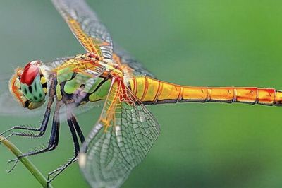 Tháng sinh Âm lịch của người nhiêùi bạn, quan hệ rộng, cuộc đời không thiếu người nâng đỡ