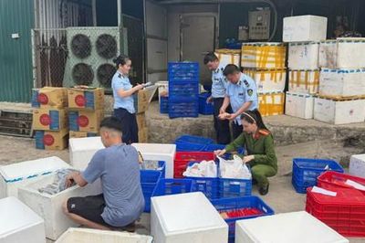 Khởi tố Giám đốc bán hàng chục nghìn sản phẩm thực phẩm giả
