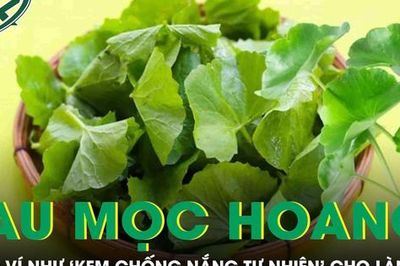 Loại rau mọc hoang đầy đường được ví như 'kem chống nắng tự nhiên' cho làn da