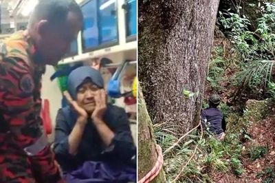 Malaysia: Nữ du khách bị lạc trong rừng suốt 13 ngày sống sót bằng cách nào?