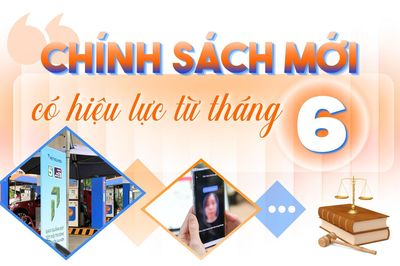 Infographic: Loạt chính sách mới có hiệu lực từ tháng 6-2026