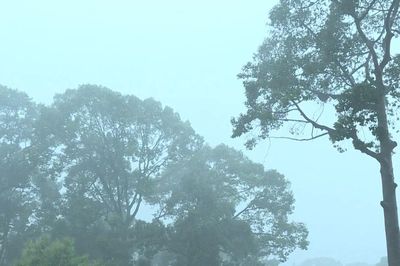 [Video] Không khí lạnh sẽ gây mưa lớn cho miền Bắc
