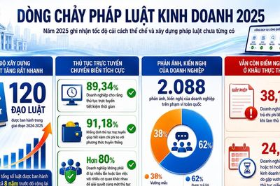 Xây dựng thể chế cho doanh nghiệp phát triển