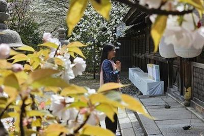 Giữa Kyoto, như nghe thời gian thở