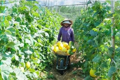 Từ người sản xuất trở thành chủ thể phát triển
