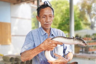 Gầy dựng cơ nghiệp tiền tỷ nhờ nuôi cá chình bằng vi sinh