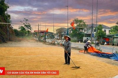 Cơn dông trên tóc mẹ và hạt lúa của đời người
