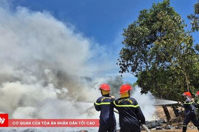 Cháy rừng phòng hộ ven biển ở Quảng Ngãi