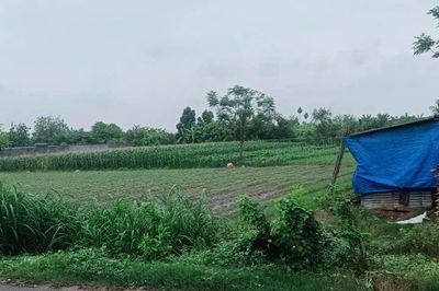 Tòa án nhân dân TP. Hồ Chí Minh sắp xử sơ thẩm vụ án giấy tờ đất đai suốt 3 năm 'không đăng bộ được'