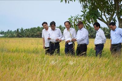 Từ 'lão nông tri điền' đến những nông dân chuyên nghiệp
