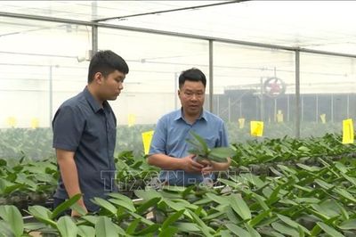 Xây dựng nền nông nghiệp hiện đại, thân thiện