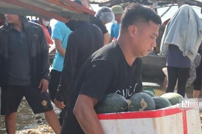 Dưa hấu Thác Bà được giá, thương lái tranh thủ thu mua từ rạng đông