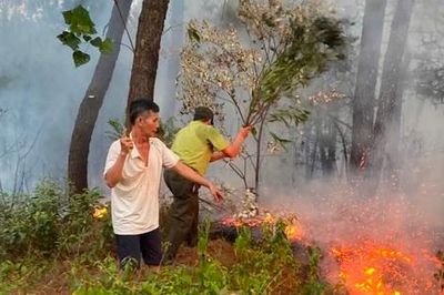 Hơn 20 ha rừng và thực bì bị cháy ở Huế, kiểm lâm căng mình ứng phó nắng nóng