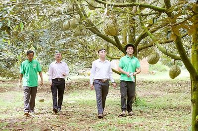 Từ thửa ruộng đến không gian số