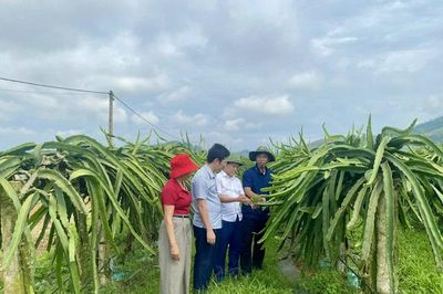 Nguyệt Ấn nỗ lực 'xóa trắng' sản phẩm OCOP