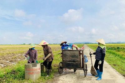 Cánh đồng không rác thải