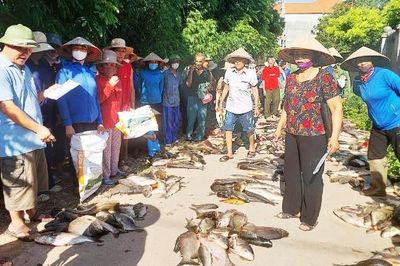 Chung ao cá, thắm tình làng