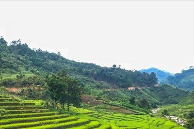 Gian nan đời ruộng bậc thang