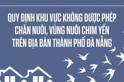 Quy định khu vực không được phép chăn nuôi, vùng nuôi chim yến trên địa bàn thành phố Đà Nẵng