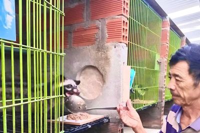 Gia Lai: Mở hướng làm giàu từ nuôi cầy vòi hương