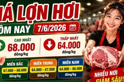 Giá lợn hơi hôm nay 7/6: Chênh lệch tới 4.000 đồng/kg giữa các vùng