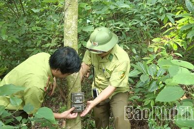 Nỗ lực bảo tồn đa dạng sinh học tại Vườn Quốc gia Tam Đảo