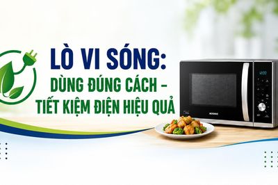 Lò vi sóng: Dùng đúng cách - Tiết kiệm điện hiệu quả