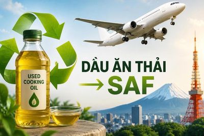 Nhật Bản thu gom dầu ăn thải để sản xuất nhiên liệu hàng không