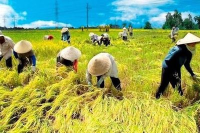 Gần 600 đại biểu đại diện hơn 10 triệu nông dân cả nước dự Đại hội Hội Nông dân Việt Nam lần thứ IX