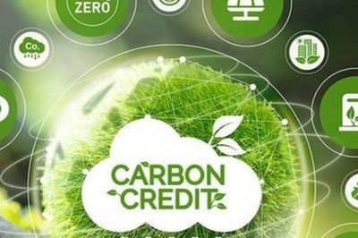 Thị trường carbon bước vào cuộc chơi mới: Chất lượng, đầu tư dài hạn và lợi ích xanh lên ngôi