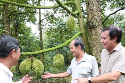 Đồng Tháp xây dựng, phát triển thương hiệu sản phẩm nông nghiệp chủ lực