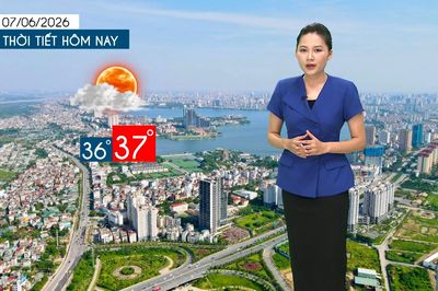 Dự báo thời tiết tối | 07/06/2026