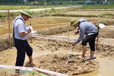 Khảo sát thực địa hố sụt Trường Hà - Làm rõ các yếu tố địa chất khu vực