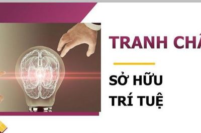 Doanh nghiệp đối mặt áp lực mới khi tranh chấp sở hữu trí tuệ bùng phát trên nền tảng số