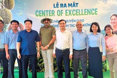 Chuyển giao công nghệ canh tác bền vững cho sầu riêng và cà phê Tây Nguyên