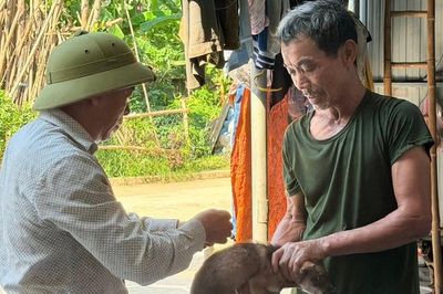 Nguy cơ bệnh dại gia tăng mùa nắng nóng, cần tiêm phòng ngay khi bị chó mèo cắn