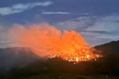 Hàng trăm người tham gia chữa cháy rừng ở Nghệ An