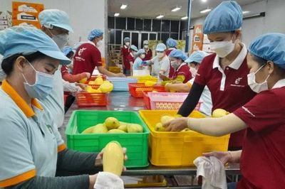 Tây Ninh tập trung tháo gỡ điểm nghẽn, tạo động lực cho kinh tế tư nhân phát triển