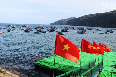 [Ảnh] Kỳ vọng du lịch biển từ Cảng cá Nhơn Lý