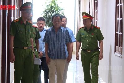 [Video] Thanh Hóa khởi tố đối tượng mua lợn bệnh bán ra thị trường