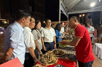 Sắc màu An Hải Festival 2026 giữa mùa hè Đà Nẵng