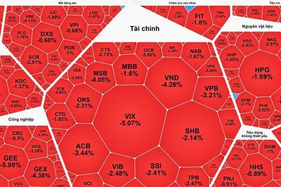 VN-Index giảm hơn 48 điểm, tuột mốc 1.800 điểm