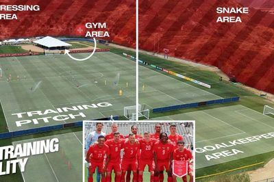 Đội tuyển Thụy Sĩ cảnh báo về rắn độc tại nơi tập luyện World Cup 2026