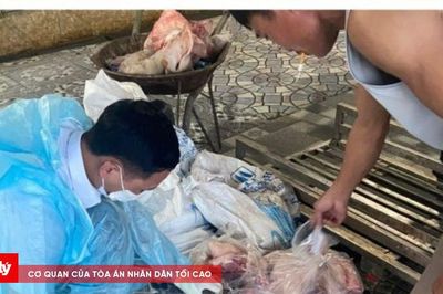 Tạm giữ 4 đối tượng mua bán, tiêu thụ lợn nhiễm dịch tả lợn châu Phi