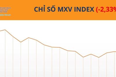 Dòng tiền đổ mạnh vào cà phê, MXV-Index giảm 2,3%